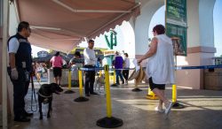 Senasica refuerza inspección a más de 5 millones de turistas que visitan México durante la Copa Mundial