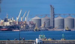 México incrementa 4.5% exportaciones agroalimentarias a Ecuador