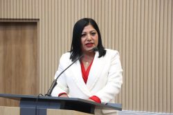 Promueve la diputada Araceli Celestino Foro Intercultural de Mujeres en Migración