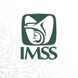 Realiza IMSS más de 800 gestiones a favor de pacientes oncológicos de Michoacán