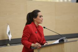 Plantea diputada Soledad Amieva la creación de una Policía de Atención Inmediata a las Mujeres y a las violencias