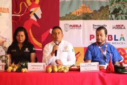 Inicia en Tochimilco temporada de Chiles en Nogada