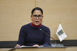 Propone diputada Elvia Graciela Palomares exhorto para reforzar operativos contra la venta de autopartes ilícitas en la 46 Poniente