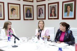 *SESIONA PATRONATO DEL SEDIF E IMPULSA ACCIONES POR EL BIENESTAR FAMILIAR*