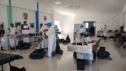 Refuerza SEDIF capacidades forenses de equipo médico de Bienestar Animal