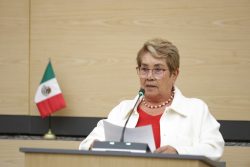 Presenta diputada Modesta Delgado punto de acuerdo para fortalecer el programa de estufas ecológicas en comunidades rurales