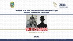 Obtiene FGE dos sentencias condenatorias por delitos contra los animales
