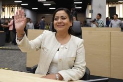 Diputada Celia Bonaga propone reforma para garantizar la procedencia legal de productos forestales