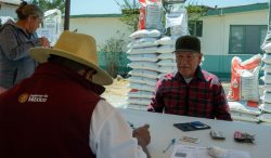 Llama AGRICULTURA a productoras y productores a proteger sus datos y verificar el padrón de Fertilizantes para el Bienestar