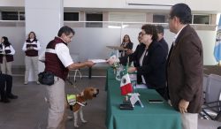 Inicia AGRICULTURA capacitación de la Generación 82 de Binomios Caninos para proteger el patrimonio agroalimentario