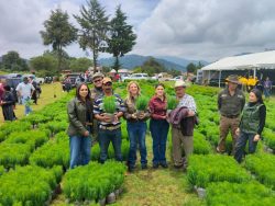 Respalda gobierno estatal nuevo patrimonio natural de 626 mil árboles en Zacatlán