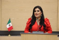 Impulsa diputada Delfina Pozos iniciativa para crear el Programa Estatal de Capacitación para Personas Adultas Mayores