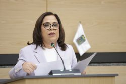 Propone diputada Soledad Amieva iniciativa para fortalecer la atención y los derechos humanos de mujeres con discapacidad