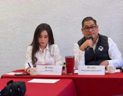 PRI Puebla Capital respalda resolución de la CDH ante vpg contra a regidora Shirley Ponce