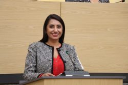 Promueve diputada Angélica Alvarado iniciativa para fortalecer la prevención y atención de la violencia contra las mujeres