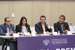 Con perspectiva de género e inclusión, el Congreso trabaja por la protección de mujeres y niñas: Pável Gaspar