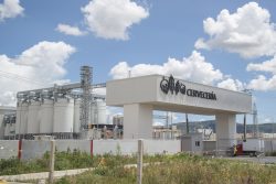 Exportaciones de cerveza mexicana superan 6,400 mdd y llegan a 98 países