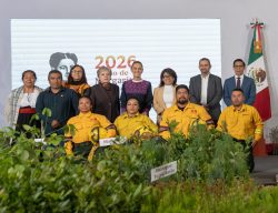 PRESIDENTA CLAUDIA SHEINBAUM PRESENTA LA JORNADA NACIONAL DE REFORESTACIÓN 2026; SE REALIZARÁ EL PRÓXIMO DOMINGO 9 DE AGOSTO Y SE PLANTARÁN 6.6 MILLONES DE ÁRBOLES Y PLANTAS