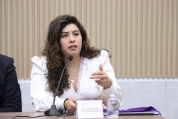 Impulsa diputada Xel Arianna Hernández iniciativa en materia de violencia vicaria