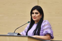 Propone diputada Delfina Pozos elaborar un Programa de Mantenimiento Preventivo de la Infraestructura de Drenaje y Alcantarillado