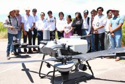 Aplica dron de Desarrollo Rural fertilizante en maizales de la UTH
