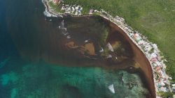 Sargazo en descomposición, problema de salud pública en Caribe Mexicano