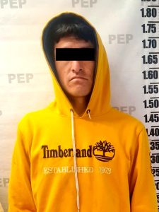 Recupera Policía Estatal 165 ejemplares de oyamel