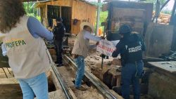 *En distintas intervenciones, SSP realizó acciones para la preservación del patrimonio natural*
