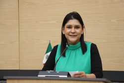 Impulsa diputada Ana Lilia Tepole iniciativa para fortalecer la protección de personas usuarias de servicios de salud mental y adicciones