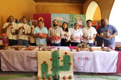Expo-Feria de Pitahaya y Xoconostle”, fomenta llegada de turismo en Huitziltepec
