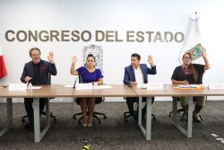 Comisión del Congreso impulsa el diálogo con organizaciones civiles para analizar temas de seguridad y justicia