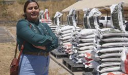 Fertilizantes para el Bienestar alcanza 95.9% de cobertura nacional e impacta a más de 814 mil mujeres productoras