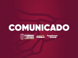 Gobierno estatal y municipio de Amozoc impiden espectáculos de maltrato animal