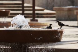 Dispara “El Niño” los termómetros en el Caribe colombiano y amenaza a la población y el agua
