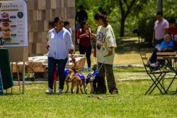 Gobierno del Estado fomenta el bienestar con segunda edición de Adopta Fest