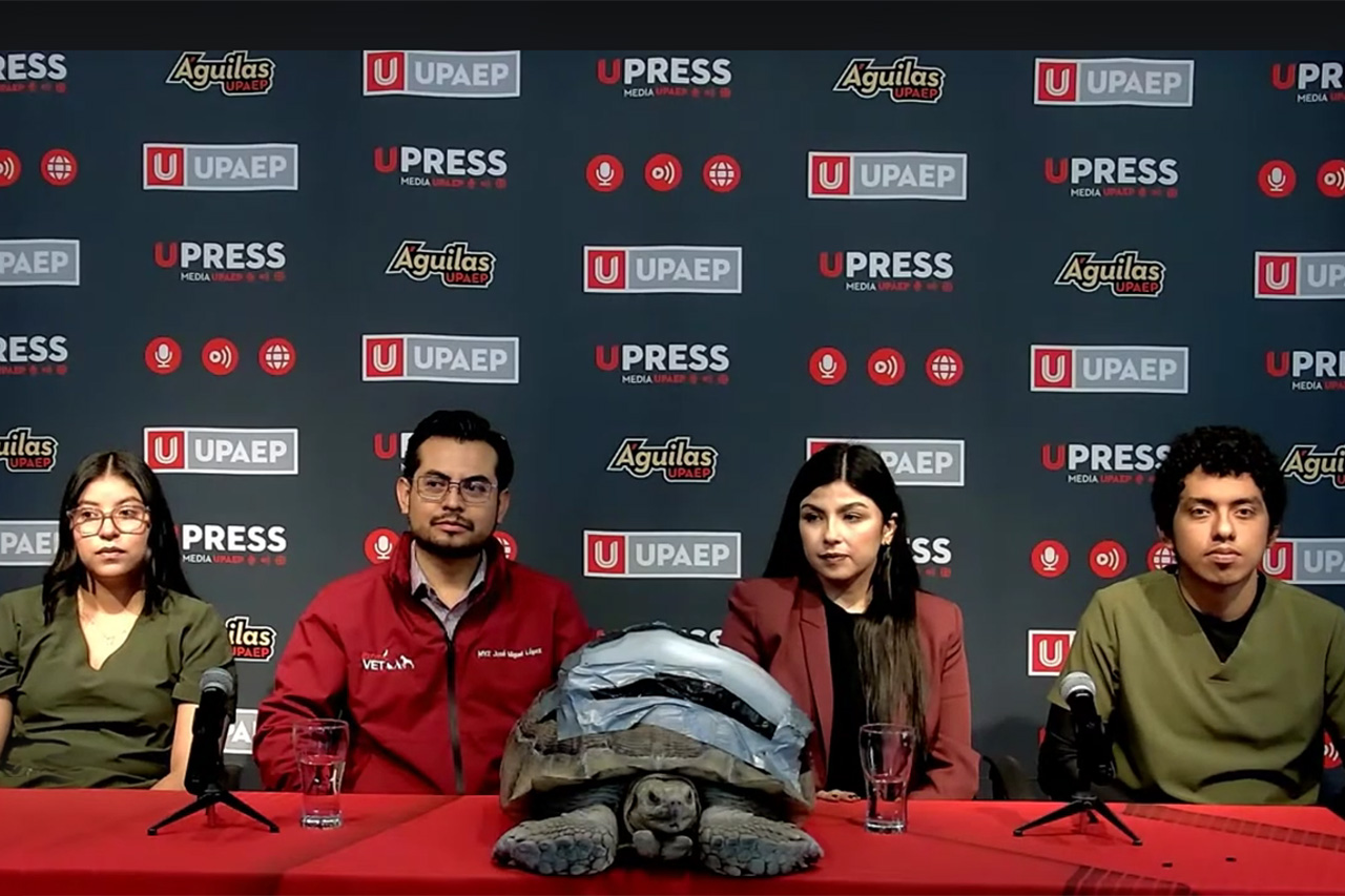 TORTUGA “DARWIN” RECIBE APOYO BIÓNICO DE LA UPAEP TRAS SER ATROPELLADA