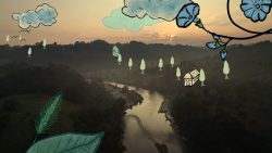 Cine documental llega a la Cinemateca “Luis Buñuel” con “Ambulante Presenta”