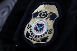 Muere migrante en persecución de ICE en Michigan; congresista exige investigación