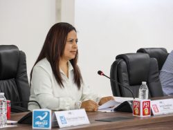 APRUEBA IEE CUMPLIMIENTO DE REQUISITOS POR PARTE DE PARTIDOS POLÍTICOS LOCALES PARA CONSERVAR SU REGISTRO