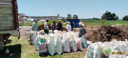 Biofertilizante de Altosano Granjas Carroll impulsa cultivos en Veracruz y Puebla