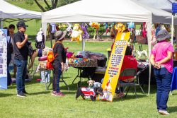 *Exitosa segunda edición del Adopta Fest promueve la adopción responsable*