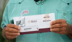 Completa AGRICULTURA pagos de incentivos al maíz Primavera-Verano 2025 en el Bajío