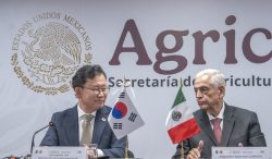 México y Corea fortalecen alianza para impulsar la innovación agroalimentaria