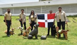 AGRICULTURA fortalece la sanidad agropecuaria en Centroamérica y el Caribe con nuevos binomios caninos
