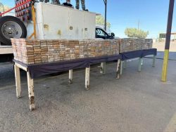 Decomisan 1.2 toneladas de narcóticos en San Luis Río Colorado, Sonora