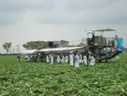 *Certifica AGRICULTURA a casi 6 mil unidades productivas en inocuidad alimentaria*