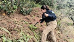 Continúan las acciones de búsqueda del menor Liam Tadeo en Huauchinango