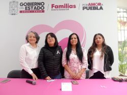 DIF ESTATAL ANUNCIÓ LA QUINTA EDICIÓN DE LA “CLASE ROSA” CON CAUSA