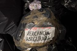 IMPI combate la piratería: Tepito, uno de los principales focos de comercialización de mercancía apócrifa