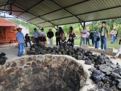 Puebla comparte experiencias científicas en producción agrícola, pecuaria, forestal y acuícola
